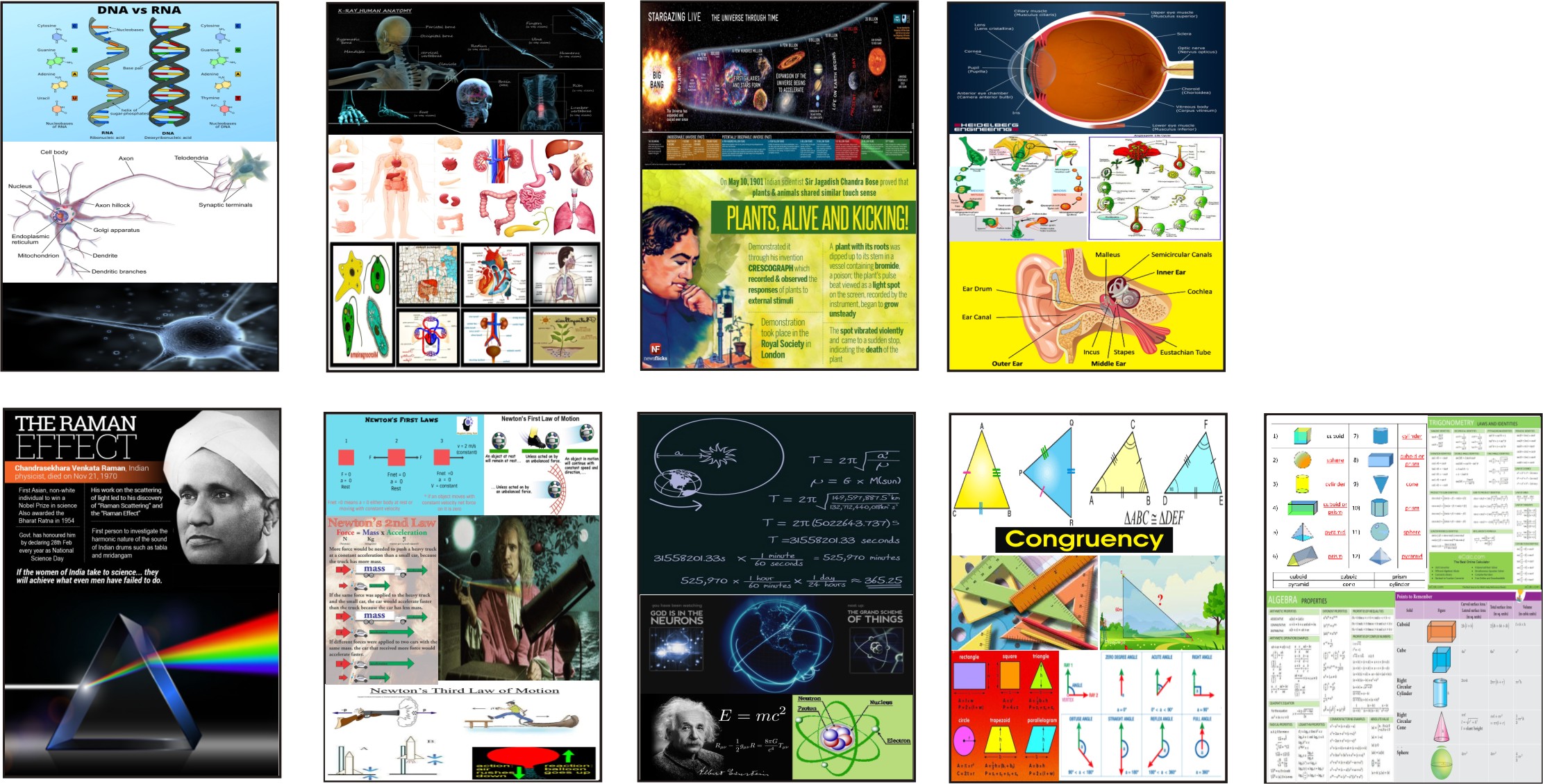 Corolla Public School Multai